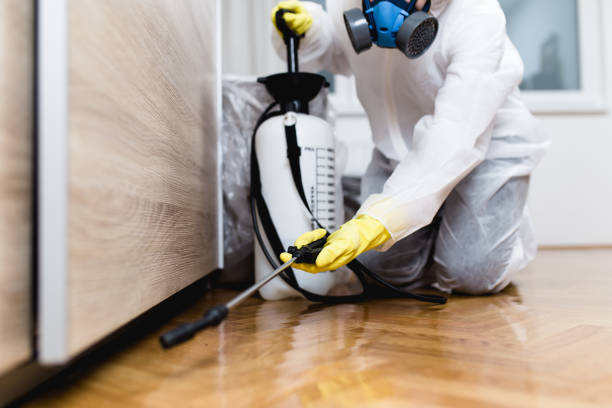  Portsmouth, NH Pest Control Pros