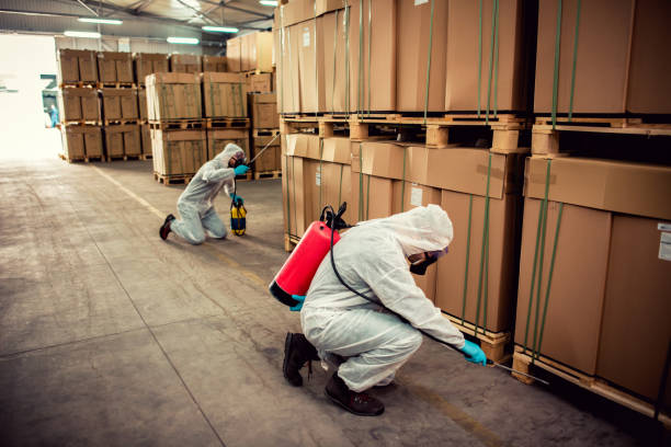 Best Rat Extermination Near Me  in Portsmouth, NH