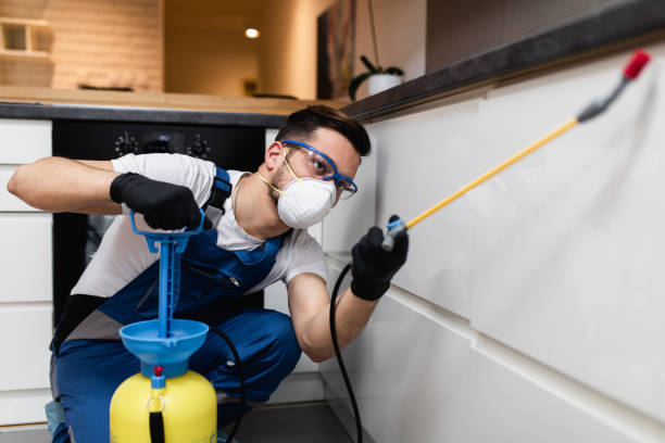 Best Affordable Pest Control Services  in Portsmouth, NH
