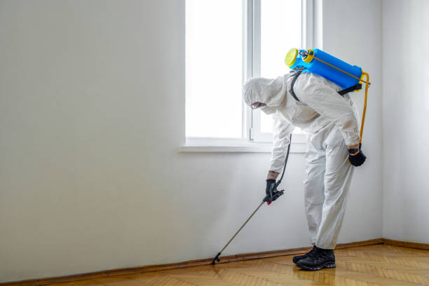 Best Wasp Removal Services  in Portsmouth, NH