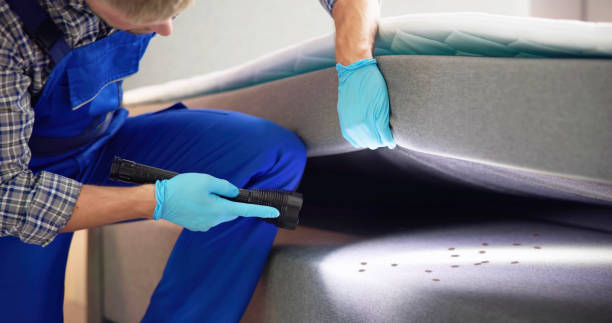 Trusted Portsmouth, NH Pest Control Experts